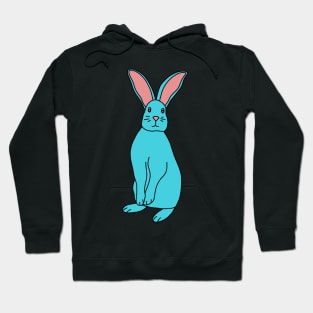 Bunny Rabbit Hoodie